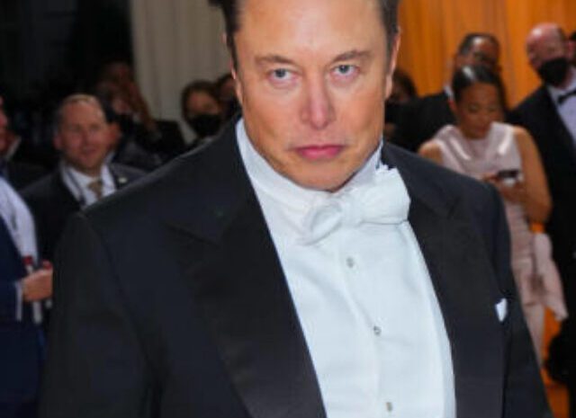 Risk and reward as Ron DeSantis links arms with Elon Musk