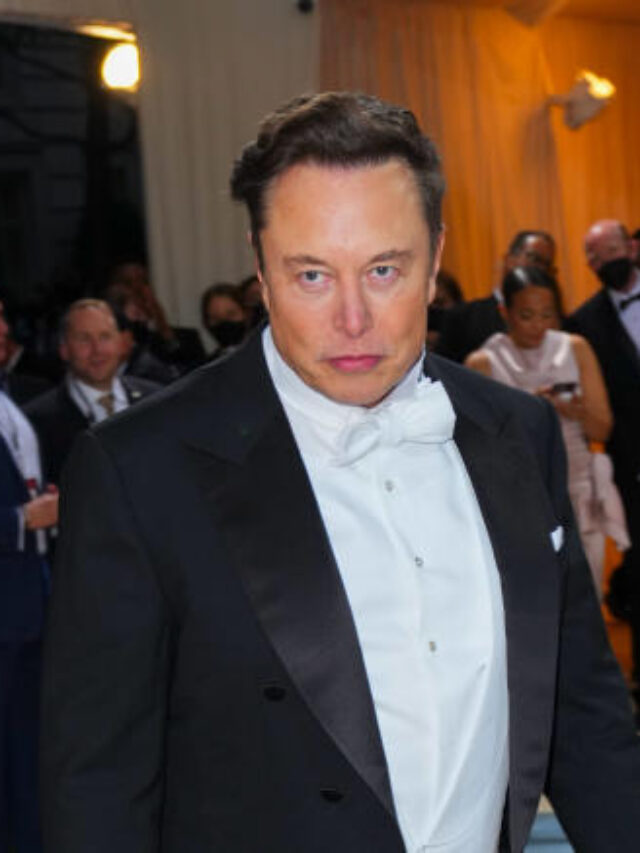 Risk and reward as Ron DeSantis links arms with Elon Musk